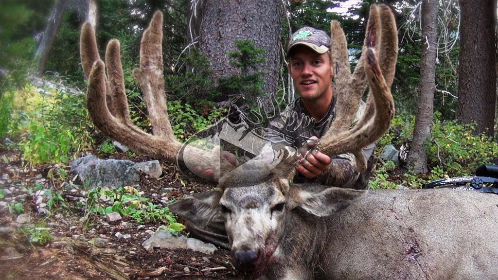 EBJ-Bowhunting Bucks in the Wyoming High Country